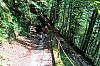 IMG_3782.JPG